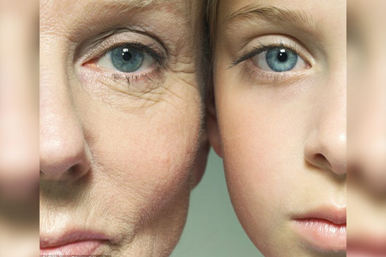 Dutch researchers try to find maximum age limit