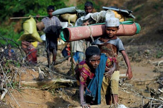 313,000 Rohingya Muslims have fled to Bangladesh: UN