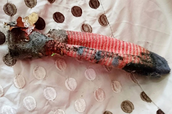 Sock horror! Terrifying lizard turns out to be dirty clothing