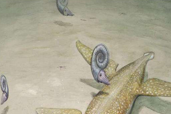 190million years old marine monster identified