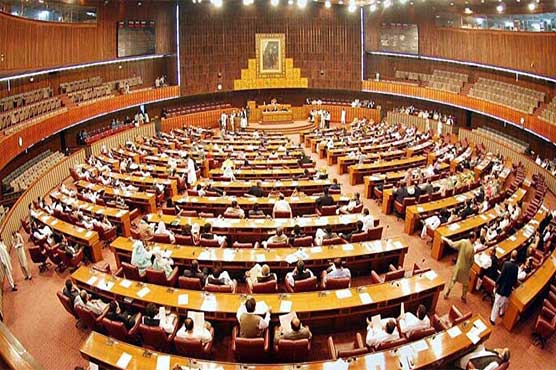 NA unanimously adopts resolution condemning atrocities against Rohingya Muslims