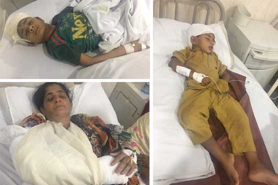 Indian firing across Working Boundary kills 6 Pakistanis, injures 26