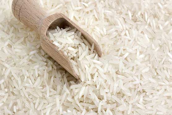 Rice exports observe 29 pc increase at end of 3rd quarter of fiscal year