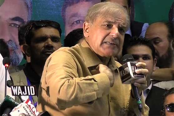 Nothing changed in Peshawar despite Imran's slogans: Punjab CM