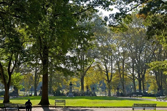 Prominent US lawyer dies after setting himself on fire in protest