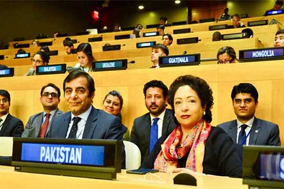 Pakistan re-elected in UN Committee on NGOs, UNICEF