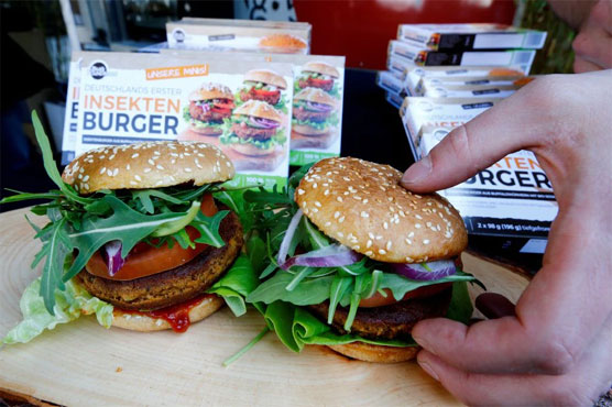 German shoppers sample burgers made of buffalo worms