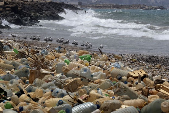 Degrading plastics emit greenhouse gases: study
