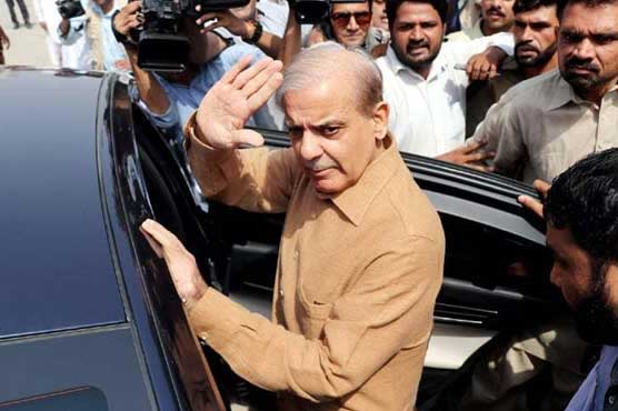 Image result for Shehbaz dispels NRO rumours, calls for Parliamentary Commission over rigging