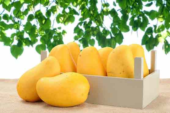Pakistani mangoes get a thumbs up from Turkish people