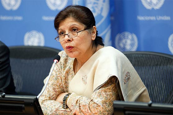 Pakistan committed to cooperate with FATF: Dr. Shamshad