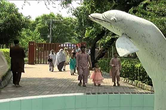 Early morning rain adds incentive for people to make Eid festivities memorable