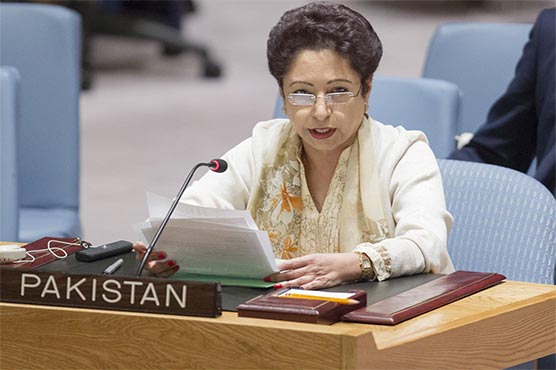 Unimplemented resolutions on Kashmir pose question mark on UNSC's credibility: Lodhi
