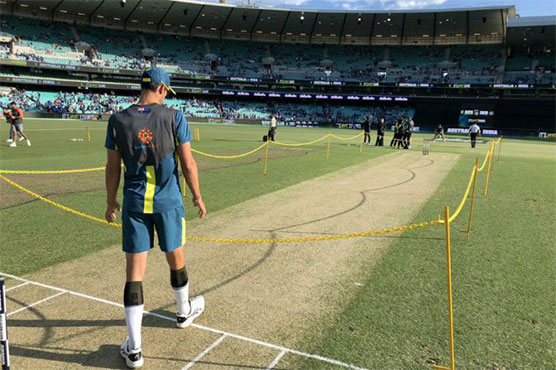 Pitch perfect goal for Australian cricket's grass gurus