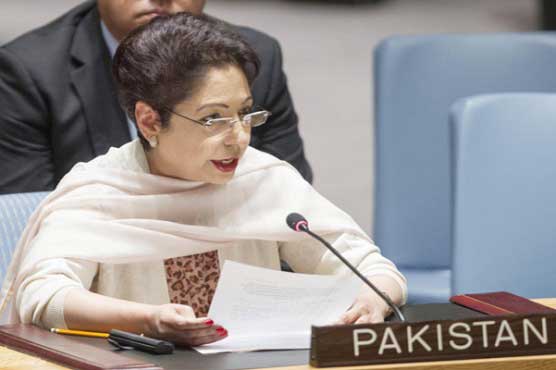 Commonwealth keen to import many products from Pakistan: Ambassador