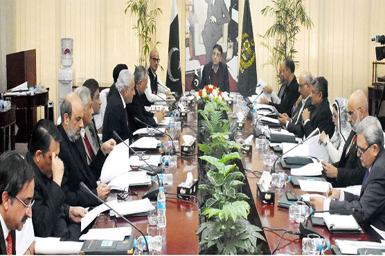 ECC approves price of imported urea