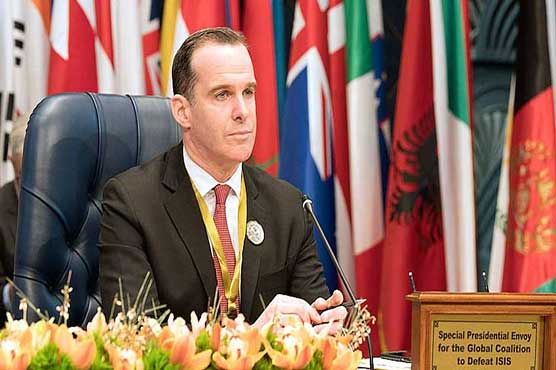 US envoy in fight against IS quits after Syria pullout