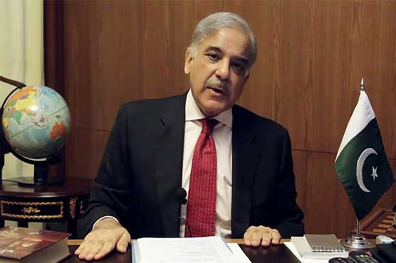 Nation's time was wasted through protests, lockdowns: CM Shehbaz