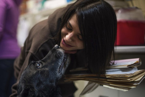 Family's dog turns up 10 years after vanishing from home