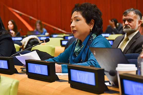 Global cooperation key to tackle poverty: Maleeha Lodhi