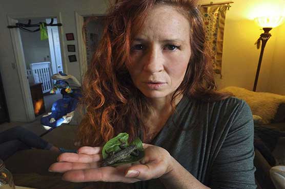 Woman says store-bought lettuce had a 3-inch lizard in it