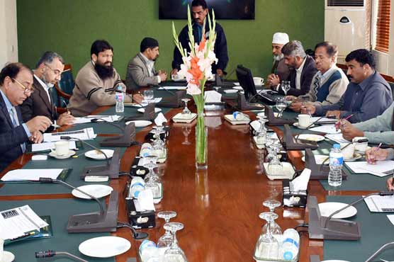 Federal Govt Employees delegation discusses pay package with Rana Afzal