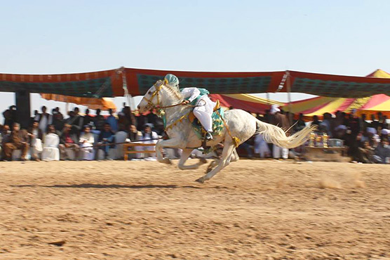 Celebrating the colours of Rohi: Khawaja Fareed Peace Mela