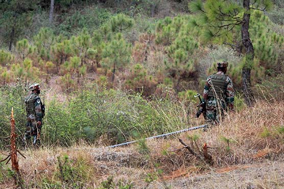 Pakistan's retaliatory LoC fire leaves two Indian troops killed