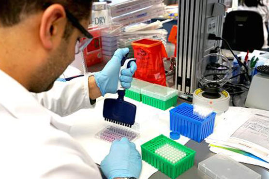 Treatment against blindness to sell for $850,000 in US