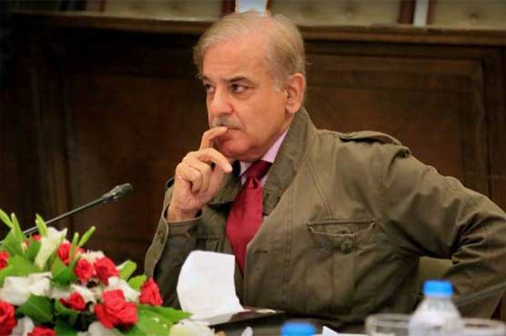 We earned respect by serving people of Pakistan, says Punjab CM