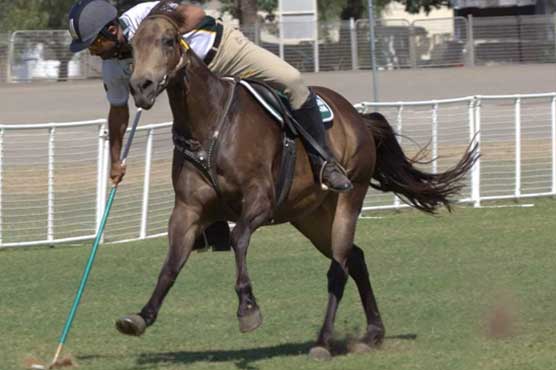 Pakistan qualifies for Tent-pegging World Cup after 10 years
