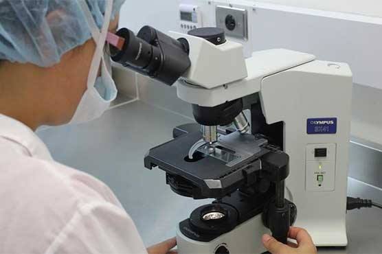 Human muscle tissue grown from stem cells: study