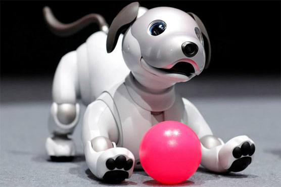 Old dog, new tricks: Sony unleashes 'intelligent' robot pet