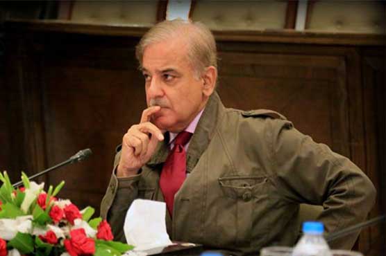 Zainab murder case: Punjab CM announces Rs10mn for culprit's identification