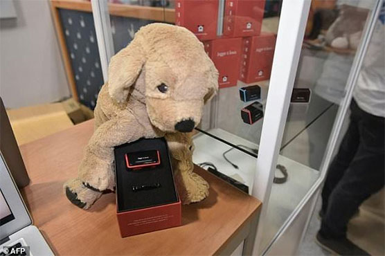 Man's best friend goes high tech at gadget fest