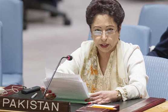 US should address challenges inside Afghanistan rather shifting onus on others: Maleeha Lodhi