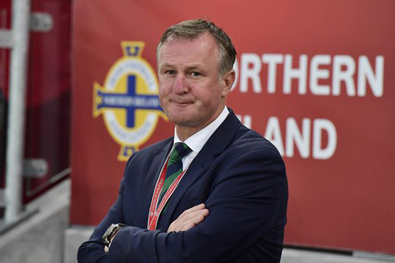 Michael O'Neill turns down Scotland manager's job
