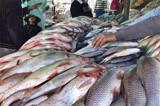Fish exports up 16.33 percent