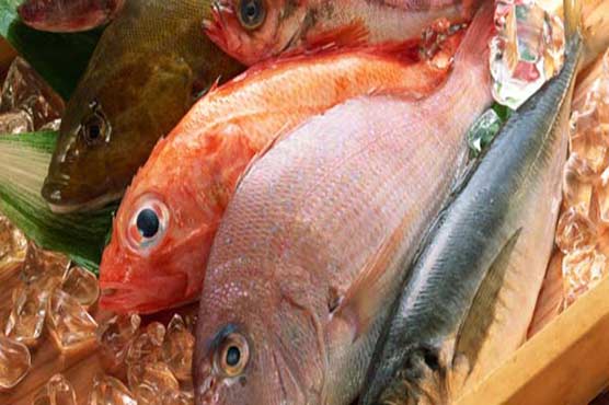 Fish exports up 16.33 percent