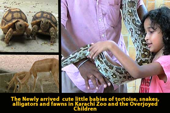 Dunya News
