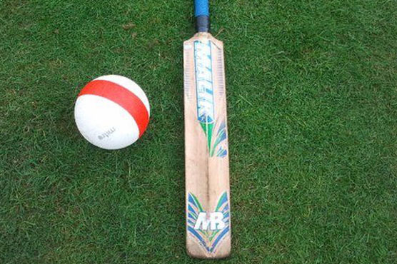 Pakistan registers second win in Physical Disability T20 Tri Series