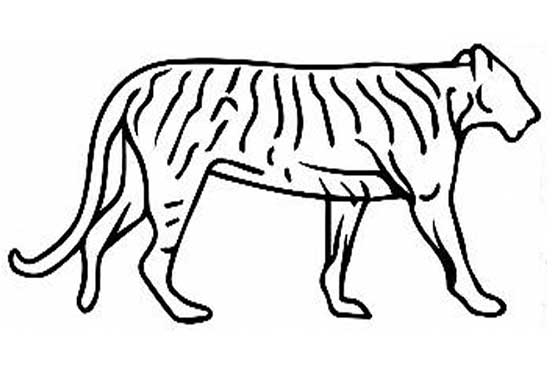 Aspirants to constituencies vacated by Maryam allotted lion symbol