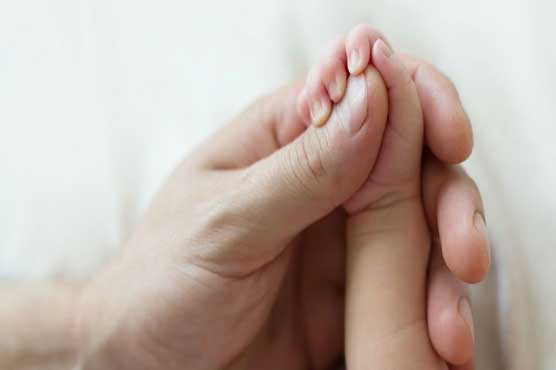 Baby buried under debris in Montana woods found alive