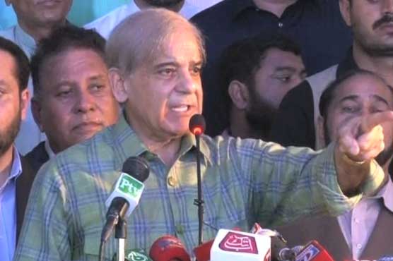 Nawaz, Maryam convicted on basis of assumptions: Shehbaz