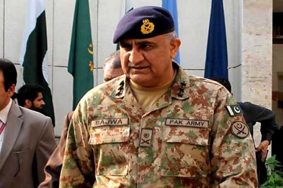 Move to derail democratic activity won't succeed: COAS