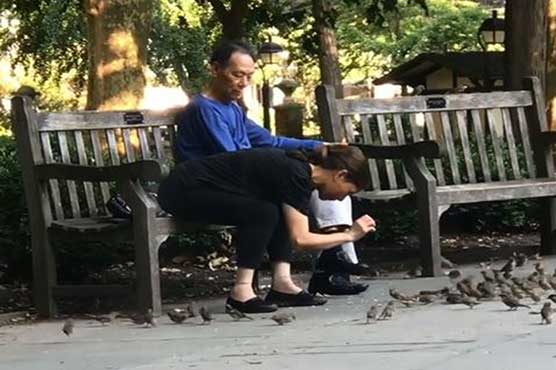 Video shows woman snatching, bagging birds at US park