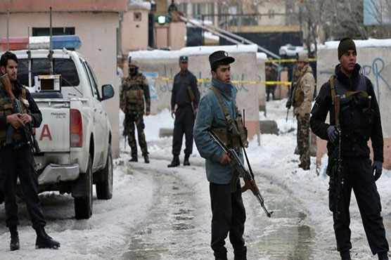 Seven dead in suicide attack at Afghan ministry: officials