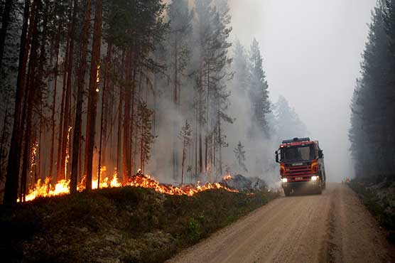 Sweden struggles to contain ferocious wildfires