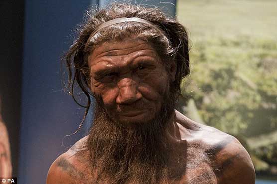 Neanderthal man knew how to make a fire: study - Technology - Dunya News