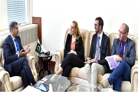 Free, fair elections govt’s top priority: Ali Zafar